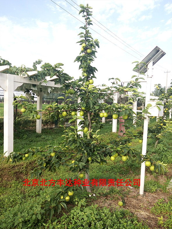 �������������ҵ���޹�˾